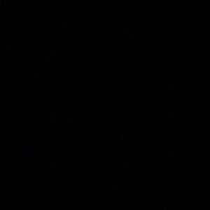 Meet your Posher, Bobby